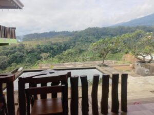 mountain view