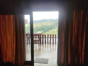 Room window